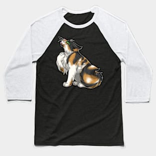 Calico Longhair Baseball T-Shirt